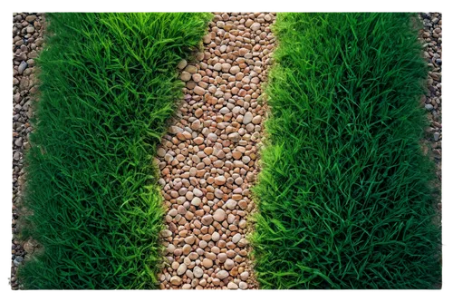 Ground, scenic, detailed texture, brown earth, rough stones, scattered pebbles, soft grass, gentle slope, natural atmosphere, warm light, panoramic view, high angle shot, cinematic composition, shallo
