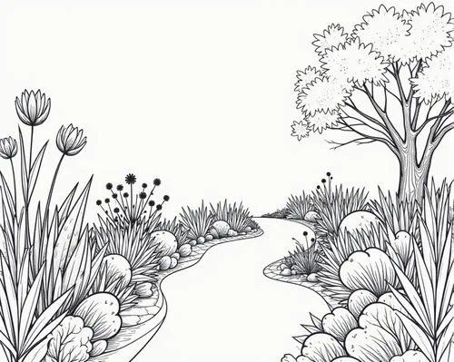 garden,the garden line is a drawing for coloring,botanical line art,illustration of the flowers,coloring pages,coloring page,flower line art,pond plants,Illustration,Black and White,Black and White 01