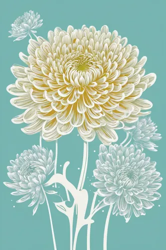 Chrysanthemum poster, a few chrysanthemums, splash of milk,Solid color background, illustration, light colour, fine detail, 8k ,white chrysanthemum,chrysanthemum grandiflorum,the white chrysanthemum,c