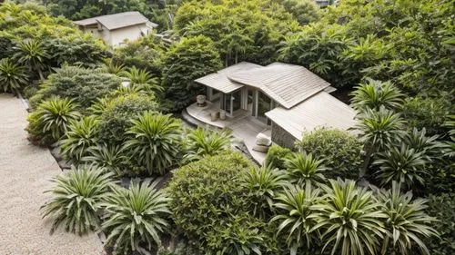 park güell,landscape designers sydney,garden design sydney,sake gardens,garden buildings,tree house hotel,roof garden,pigeon house,climbing garden,landscape design sydney,bamboo plants,kiwi plantation