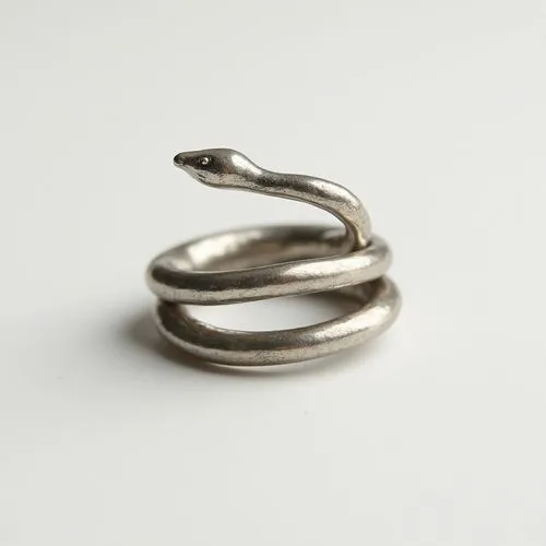 ring design, A snake with its head and tail joined, Minimalism,an image of a snake ring on the ground,serpiente,pointed snake,chalcides,silversmithing,nuerburg ring,african house snake