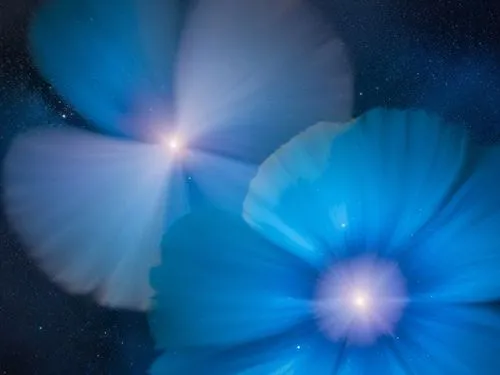 cosmos,two beautiful blue flowers in the dark sky,blue petals,cosmic flower,blu flower,moonflower,planetary nebula,blue spheres