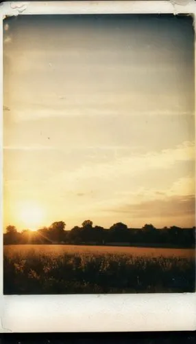 can’t post nothing ,lubitel 2,grasslands,agfa isolette,grassland,wheat fields,wheat field,straw field,stubble field,prairie,rye field,suitcase in field,cornfield,plains,film strip,agfa,grain field,whe