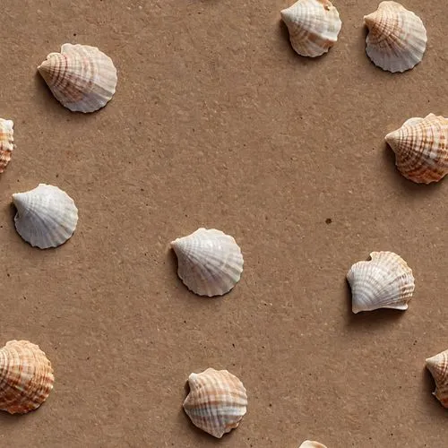 with a pastel brown background in a canvas texture with  shells
,a picture of sea shells laid out in order to be cleaned,sea shells,seashells,snail shells,shells,marine gastropods,cowries,watercolor s