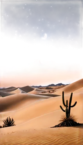 Desert landscape, nighttime, starry sky, crescent moon, sandy dunes, cactus silhouettes, misty atmosphere, warm lighting, low-angle shot, 3/4 composition, shallow depth of field, cinematic mood, mysti