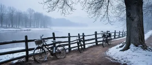 Faded winter scenery, snow-covered trees with bare branches, old wooden fence, worn-out stone pathway, abandoned rusty bicycle, forgotten lanterns, dim warm lighting, misty atmosphere, soft focus, mel
