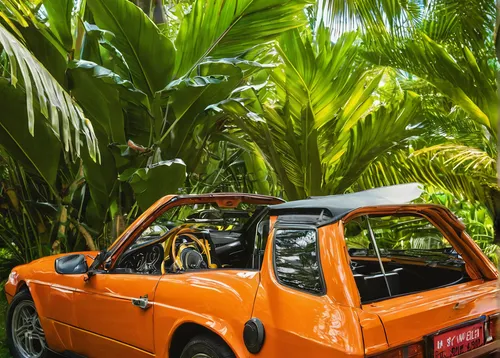 Compose a catchy reggaeton melody with a tropical vibe for a summer party.,classic car and palm trees,fiat 126,autobianchi bianchina,subaru 360,lada niva,renault 5 turbo,renault 8,cabrio,autobianchi a