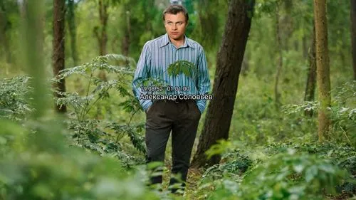a man stands alone in the middle of the forest,fir forest,forest man,farmer in the woods,forest background,nature and man,fir green,botanist,pine forest,fir shoot,vegetation,background view nature,fir