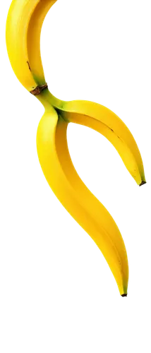 Yellow banana peel, curled up edges, glossy surface, soft lighting, close-up shot, macro photography, shallow depth of field, warm color tone, still life composition, realistic texture, detailed wrink