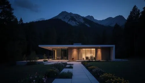 Modern country house in high-tech style. Located in the forest on the background of the hill. Materials, porcelain tile wood plastic. In front of the house a path with flower beds and alpine hills. Fr