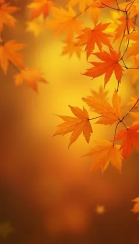 "Design a wallpaper with autumn leaves in soft focus, creating a bokeh effect in shades of yellow, orange, and red."



























,colorful fall leaves against an orange and yellow backg