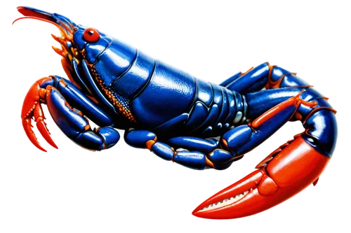 Crawfish, dark blue outline, detailed shell texture, claws raised, eyes bulging, mouth open, legs curled, white background, side view, low-angle shot, dramatic lighting, intense atmosphere.,crayfish 1
