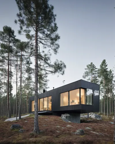 small modern family house with finnish landscape,house in the forest,cubic house,timber house,cube house,inverted cottage,dunes house,modern house,modern architecture,small cabin,danish house,scandina
