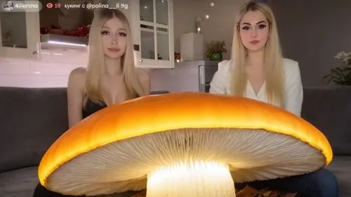 сидящая на вершине очень большого светящегося гриба,two blonde haired women sitting in front of an illuminated mushroom,anti-cancer mushroom,mushroom hat,toadstools,yellow mushroom,mushrooms,mushroom 