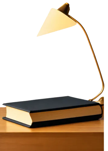 A book, leather-bound cover, golden font title, thick pages, dog-eared corner, reading lamp light, open on desk, solo, realistic, warm color tone, shallow depth of field, cinematic lighting, 3/4 compo