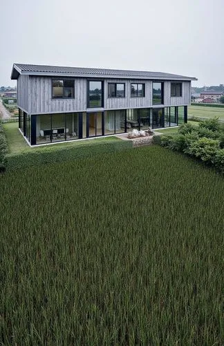a house sits above some tall grass in front of it,dunes house,render,grass roof,modern house,residential house,cube house,renders,cube stilt houses,danish house,the rice field,rice plantation,frame ho