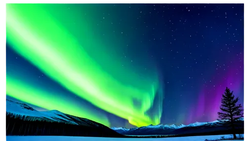 Northern Lights, aurora borealis, night sky, vibrant green blue purple colors, swirling clouds, starry background, mountains silhouette, snow-covered trees, frosty air, soft focus, panoramic view, low