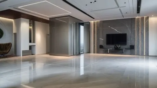 A minimal interior design of an apartment. Add some sofa like the sample ,a large empty room is pictured with mirrors on the wall,luxury home interior,hallway space,interior modern design,luxury bathr