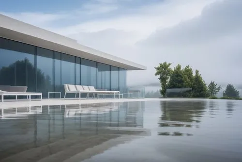 house by the water,house with lake,infinity swimming pool,pool house,3d rendering,render,snohetta,aqua studio,lago grey,reflecting pool,dunes house,luxury property,waterproofing,boathouse,renderings,w