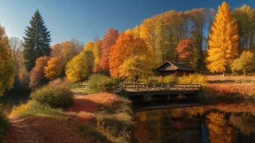 Soft autumn colors,a small dock that is by the water,autumn scenery,autumn background,autumn landscape,autumn idyll,fall landscape,autumn day,colors of autumn,autumn forest,golden autumn,autumn colors