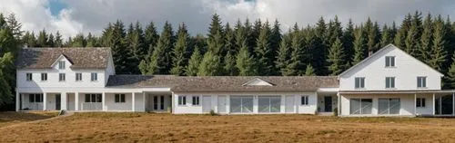 MAKE THE BUILDING WHITE AND TREES EXCEPT LEAVE SOME AT THE TOP OF THE HILL.,the house is white with two dormer windows and one roof,forest house,acreages,house in the forest,timber house,house in moun