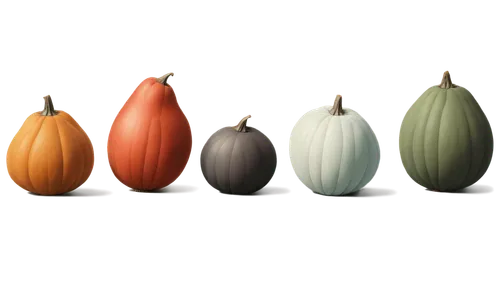 9 composition, warm color tone, realistic texture, intricate details.,five different colored pumpkins lined up in a row,decorative squashes,decorative pumpkins,gourds,ornamental gourds,calabashes,stri