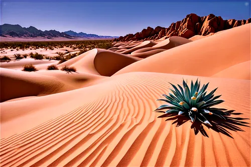 Desert landscape, vast sandy dunes, clear blue sky, few clouds, warm sunlight, low-angle shot, dramatic shadows, detailed sand texture, rocky outcrops, cactus plants, 3/4 composition, shallow depth of