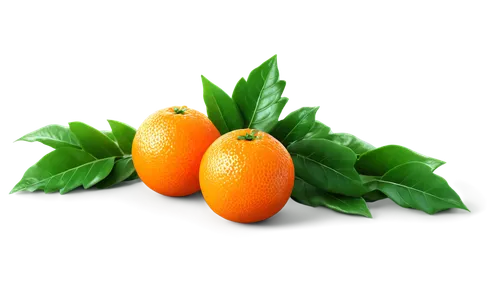 Vibrant orange fruit, round shape, glossy surface, green leafy top, segments visible, juicy pulp, shallow depth of field, close-up shot, warm lighting, 3/4 composition, HD texture, realistic rendering