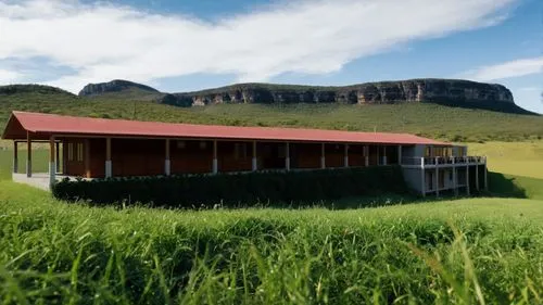 grass,clarens,drakensberg,drakensberg mountains,hinchinbrook,harrismith,canaima,langkloof,glenfed,grampians,tulbagh,kallur,qwaqwa,swellendam,winelands,waterberg,cottars,lydenburg,oudtshoorn,breede,enn