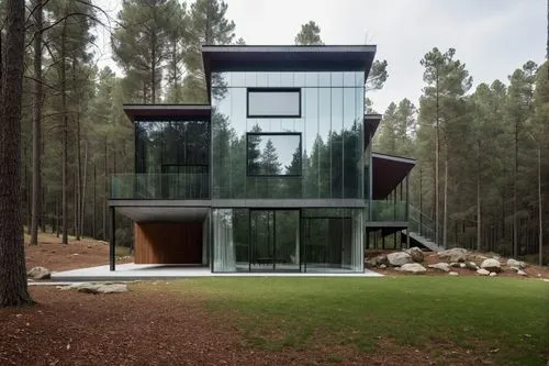 huge window, outside is Forest,cubic house,house in the forest,forest house,mirror house,cube house,modern house,frame house,modern architecture,timber house,dunes house,glass facade,prefab,cantilever