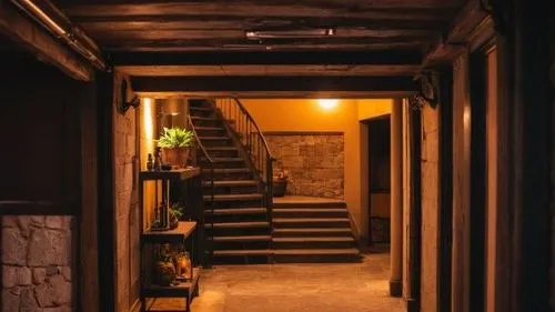 ПОДВАЛ,a hallway leading to a home with stone steps,hallway,cellar,basement,passageway,cellars,basements,creepy doorway,passageways,corridor,corridors,attic,alley,passage,upstairs,storeroom,alleyway,m