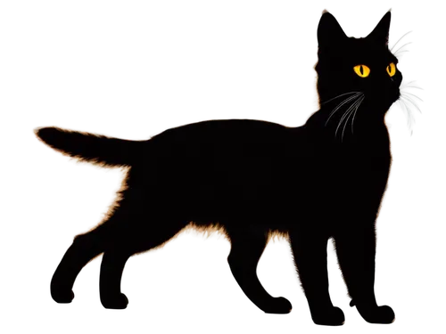 Cat silhouette, black body, white eyes, standing posture, straight legs, tail raised, whiskers visible, soft fur texture, evening shadow, backlight, low-angle shot, dramatic composition, high contrast