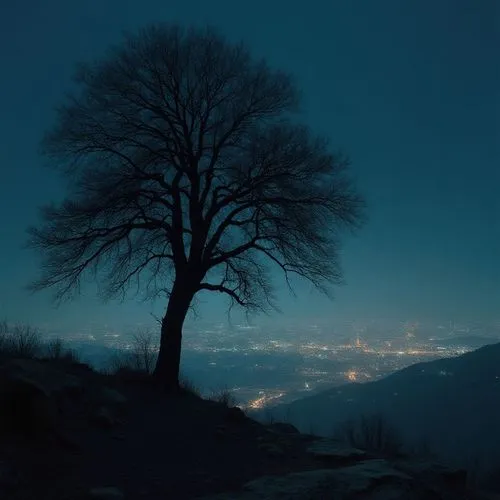 A single tree is silhouetted against the lights of a distant, busy city. Night.,a lone tree in the dark on a night sky,isolated tree,lone tree,night photograph,winter tree,winter night,night image,tre