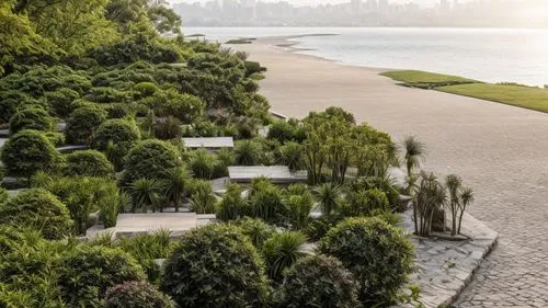landscape designers sydney,landscape design sydney,garden design sydney,royal botanic garden,glebe point,battery gardens,barangaroo,climbing garden,sydney australia,viña del mar,australian cemetery,ri