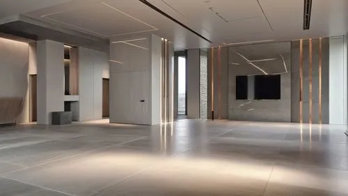 A minimal interior design of an apartment ,the walls of a room with a mirror, television and fireplace,hallway space,search interior solutions,conference room,foyer,ceramic floor tile,modern room