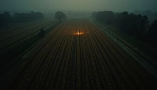 dark random scene from horror movie,country,rednex,corn field,two people in a field at sunset,onion fields,hossein,foggy landscape,ground fog,hosseinian,autumn fog