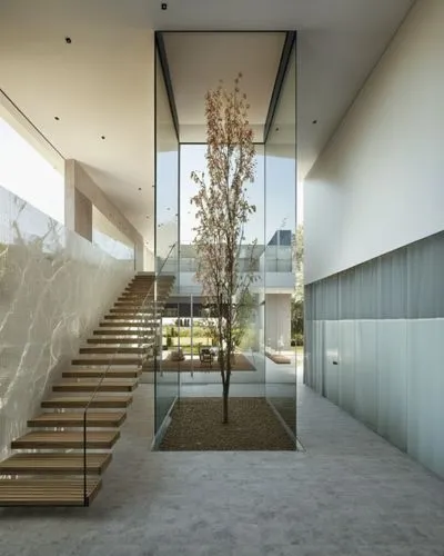 glass wall,glass facade,structural glass,interior modern design,outside staircase,exposed concrete,archidaily,modern house,landscape design sydney,landscape designers sydney,californian white oak,glas