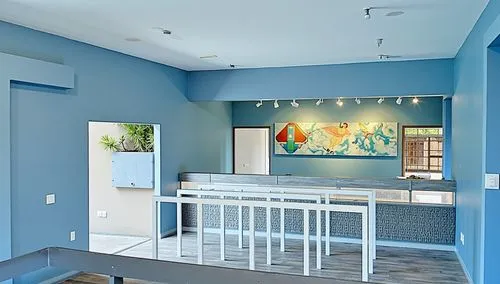 a modern home office with blue walls and white chairs,entryway,mudroom,contemporary decor,stucco wall,remodeler,search interior solutions,hallway space,stucco ceiling,entryways,servery,periodontist,bl
