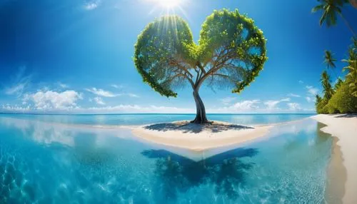 Un árbol con forma de corazón en la playa, rodeado de flores. Cielo azul, un hermoso día de verano, palmeras y agua que brilla bajo el sol.,a tropical beach with a lone tree standing in the sand,tropi