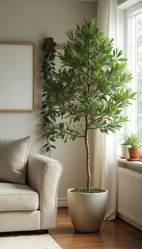 decorative tree in pot, living room,home staging,a tree inside of a large vase on top of a table,intensely green hornbeam wallpaper,potted tree,houseplant,ficus,boxwood,dwarf tree,gymnosperm,houseplan