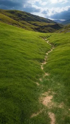 grass seamless texture,a photo of a grassy plain with a path,the mystical path,the path,pathway,hiking path,path,trail,bridleway,footpaths,paths,hillwalking,glen of the downs,footpath,bridleways,pathw