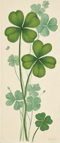 Create a dialogue between two friends discussing the symbolism of a 4 leaf clover.,lotus leaves,pennywort,miner's lettuce,redwood sorrel,wood-sorrel,pak-choi,centella,centella asiatica,lotus leaf,clov