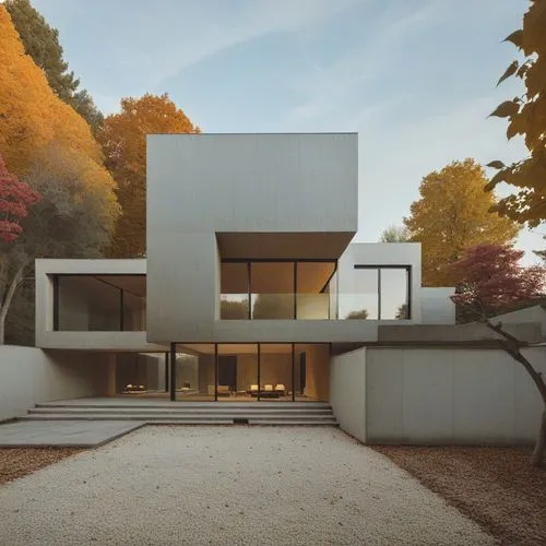 Modern facade,modern house,modern architecture,dunes house,cubic house,eisenman,corbu,breuer,seidler,cube house,lasdun,hejduk,mid century house,siza,cantilevers,neutra,3d rendering,forest house,frame 