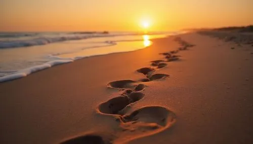 Footsteps in the sand during sunrise, leading toward a glowing horizon. Metaphorical image of faith and new beginnings.,there is a long line of footprints left on the beach,footprints in the sand,foot