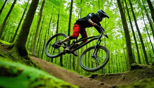 Whip it! - JacekSlonik - Mountain Biking Pictures - Vital MTB,mtb,downhill mountain biking,singletrack,mountain bike,mountain bike racing,mountain biking,enduro,dirt jumping,downhill,competitive trail