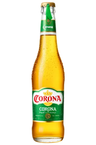 Corona beer bottle, transparent glass, rounded body, narrow neck, golden beer, condensation droplets, green and white label, red logo, solo, detailed texture, shallow depth of field, soft natural ligh
