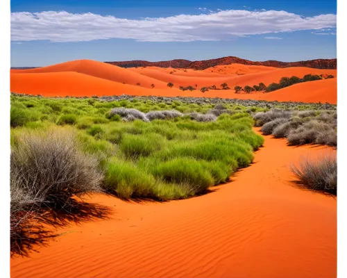 Australian landscape, panoramic view, vast desert, red sand dunes, spinifex grass, eucalyptus trees, blue sky with white clouds, warm sunlight, soft shadows, 3/4 composition, shallow depth of field, v