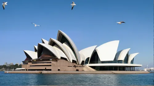 a modern architecture, fish shape,  white exterior, curved lines, consistent style, seagulls flying,opera house sydney,sydney opera house,opera house,sydney opera,sydney australia,sydney harbour,lotus