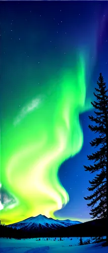 Northern Lights, HD, vibrant colors, swirling clouds, green and blue hues, starry night sky, dark silhouette trees, snowy mountain landscape, panoramic view, 360-degree composition, cinematic lighting