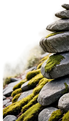 Rocks, stones, varied shapes, sizes, textures, rough surfaces, earthy tones, moss growth, cracks, crevices, natural formations, 3/4 composition, shallow depth of field, soft diffused lighting, cinemat